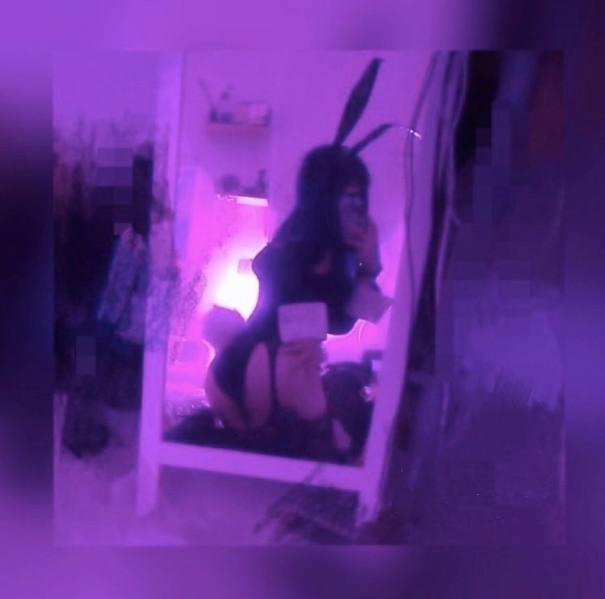 兔兔