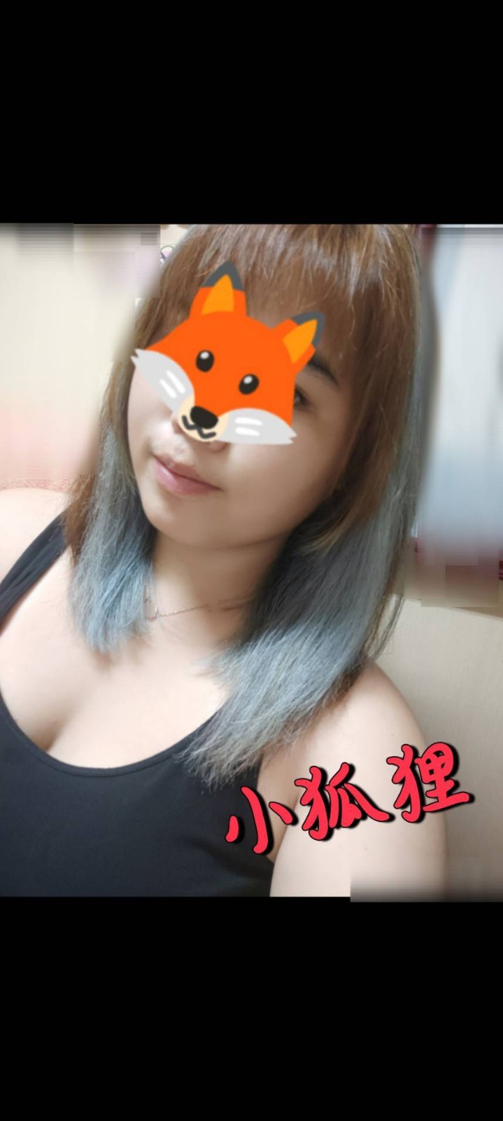 小狐狸